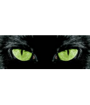 Avatar de Le parrain